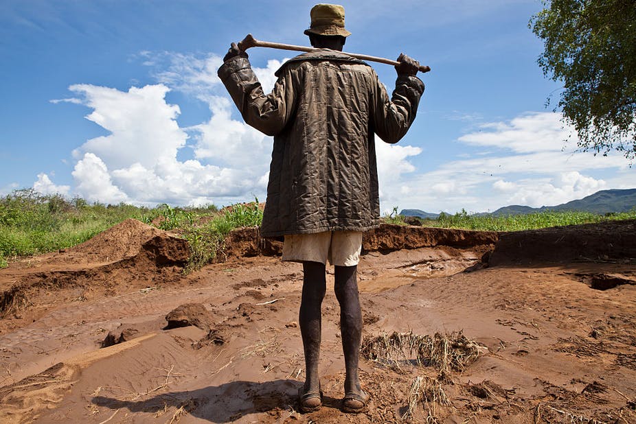 Wawasan Mengenai Degradasi Lahan dari Tujuh Negara di Afrika