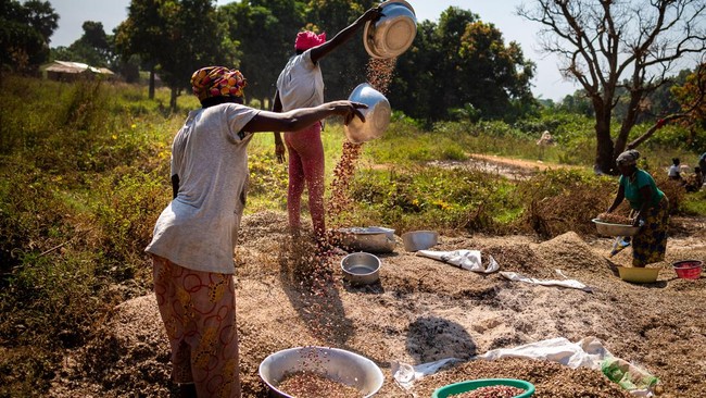 Program Agraria Peningkatan Kesejahteraan Petani di Afrika